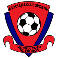Clubul Sportiv Viitorul 2020 Targu Frumos